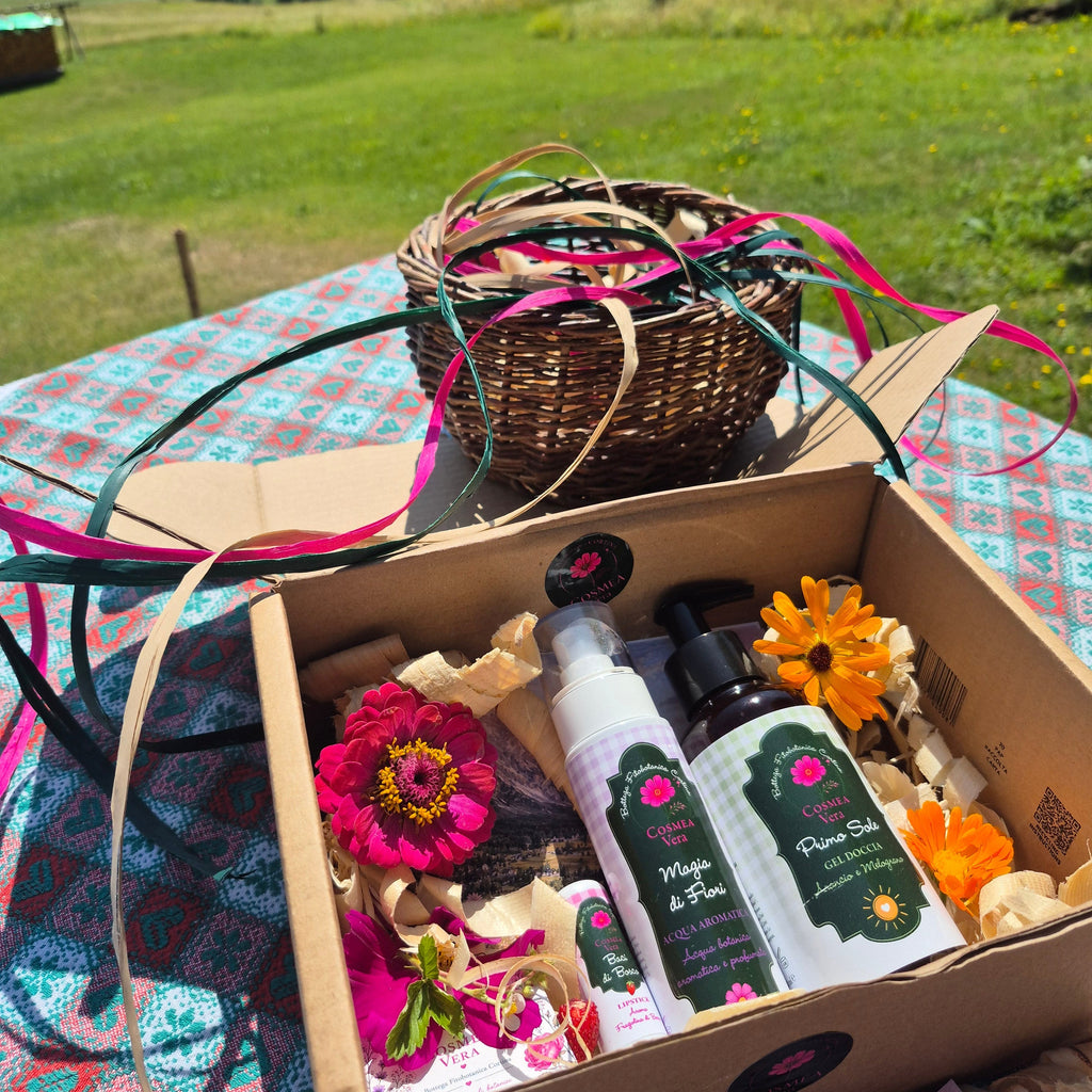 Kit PicNic