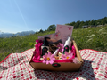 Kit PicNic