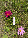 Lip Balm Baci di Bosco